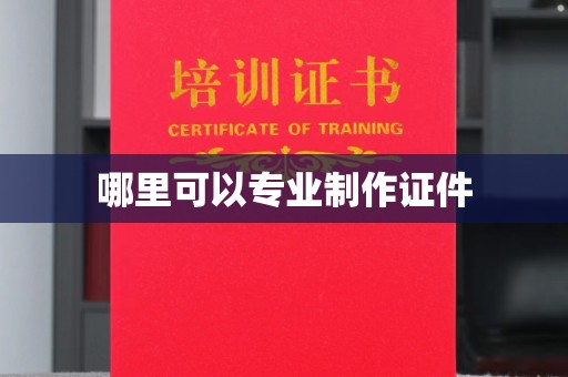 秀峰哪里可以专业制作证件