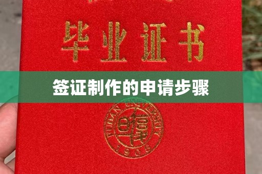 秀峰签证制作的申请步骤