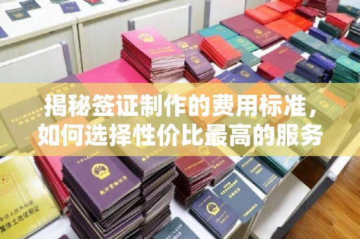 秀峰揭秘签证制作的费用标准，如何选择性价比最高的服务？